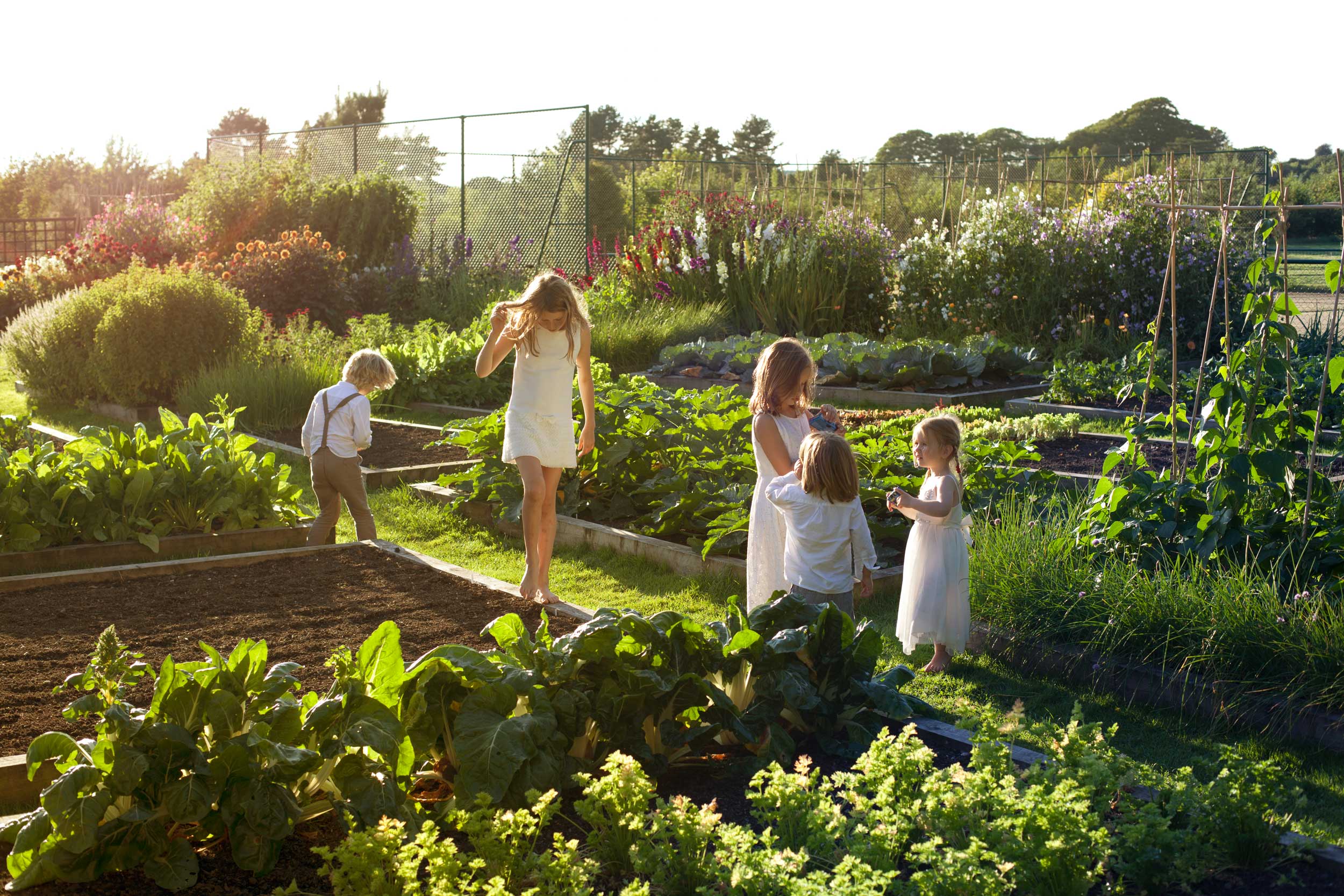 PERSONAL-KIDS-IN-ALLOTMENT